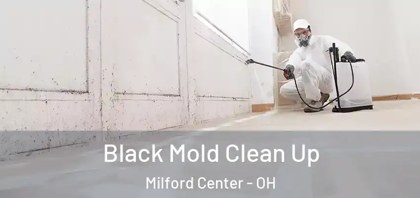  Black Mold Clean Up Milford Center - OH