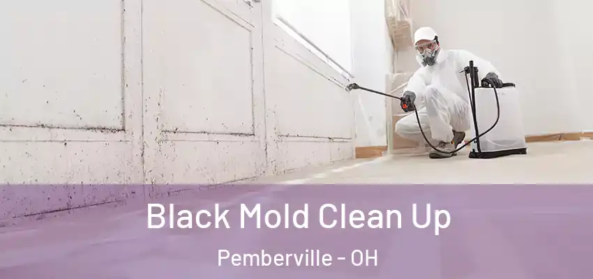  Black Mold Clean Up Pemberville - OH