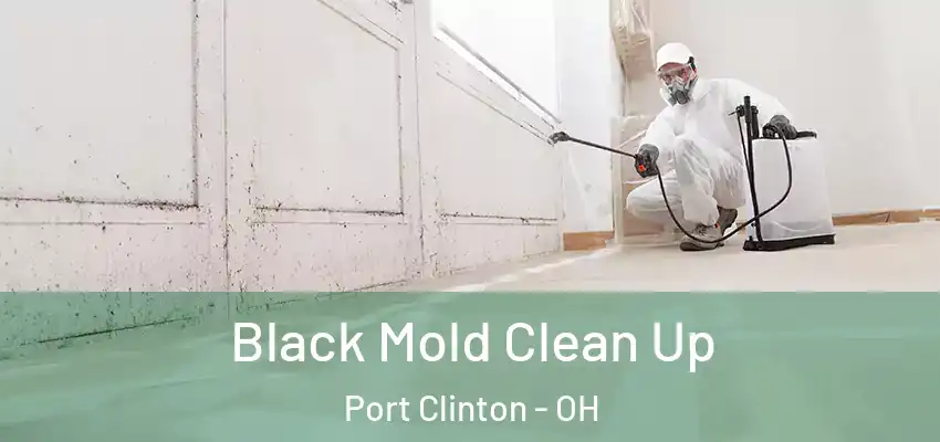  Black Mold Clean Up Port Clinton - OH