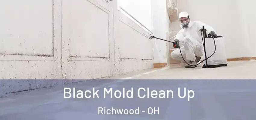  Black Mold Clean Up Richwood - OH