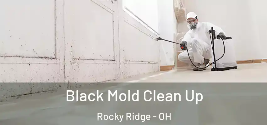  Black Mold Clean Up Rocky Ridge - OH