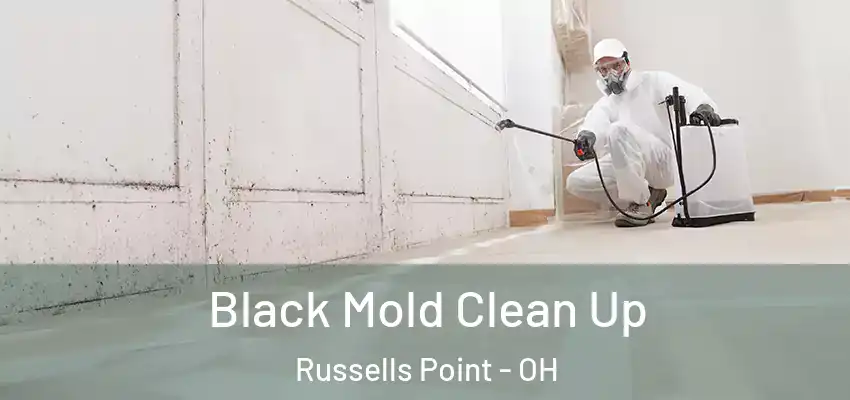  Black Mold Clean Up Russells Point - OH