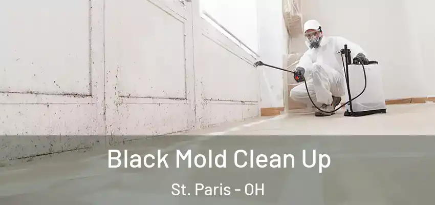  Black Mold Clean Up St. Paris - OH