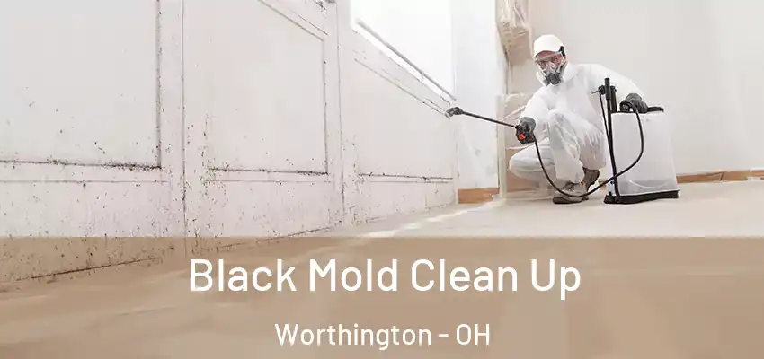 Black Mold Clean Up Worthington - OH