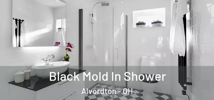  Black Mold In Shower Alvordton - OH