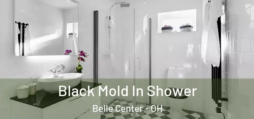  Black Mold In Shower Belle Center - OH