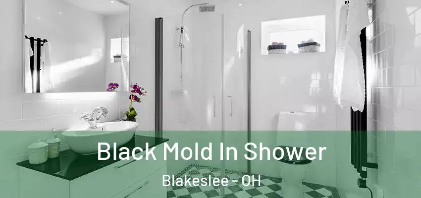  Black Mold In Shower Blakeslee - OH
