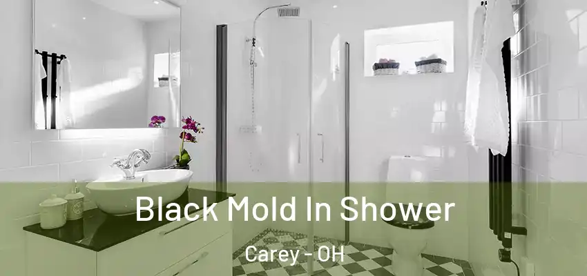 Black Mold In Shower Carey - OH