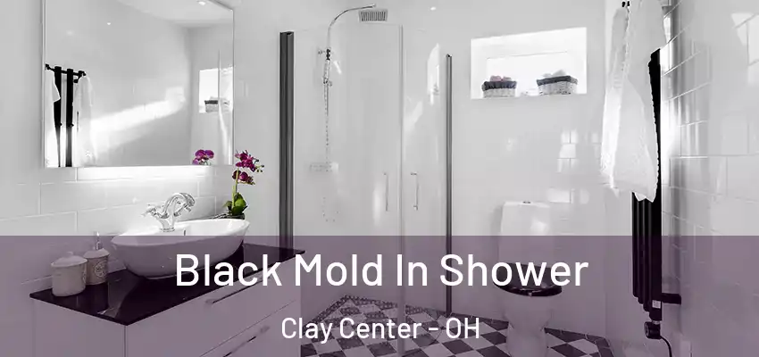  Black Mold In Shower Clay Center - OH
