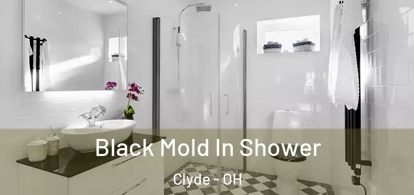  Black Mold In Shower Clyde - OH