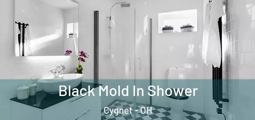  Black Mold In Shower Cygnet - OH