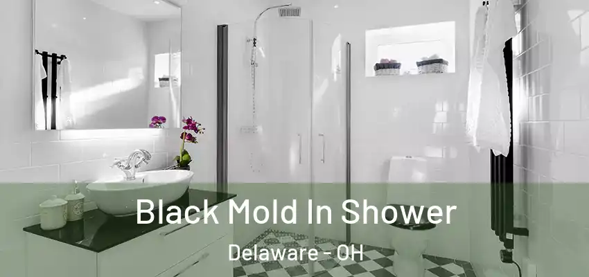  Black Mold In Shower Delaware - OH