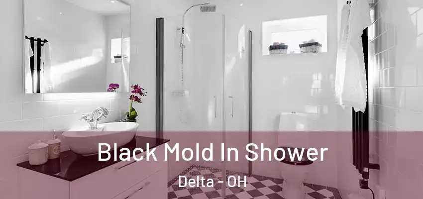  Black Mold In Shower Delta - OH