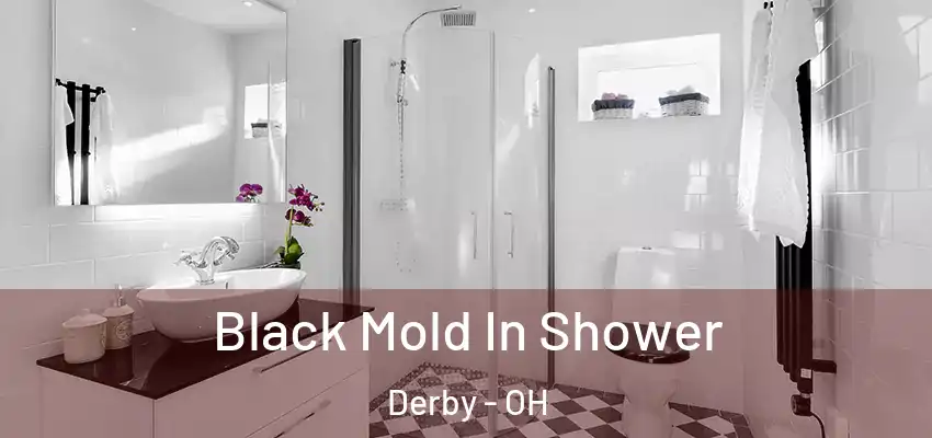  Black Mold In Shower Derby - OH