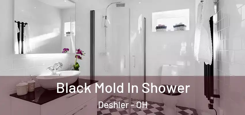  Black Mold In Shower Deshler - OH