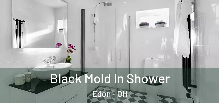  Black Mold In Shower Edon - OH