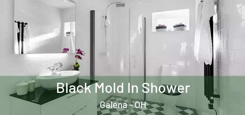  Black Mold In Shower Galena - OH