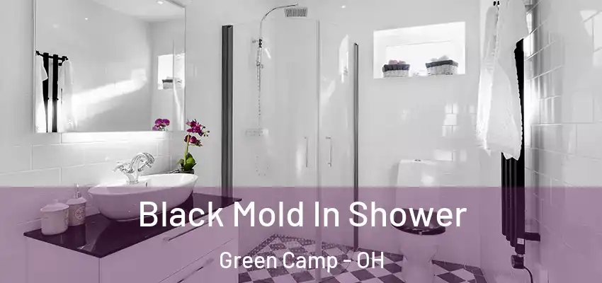  Black Mold In Shower Green Camp - OH
