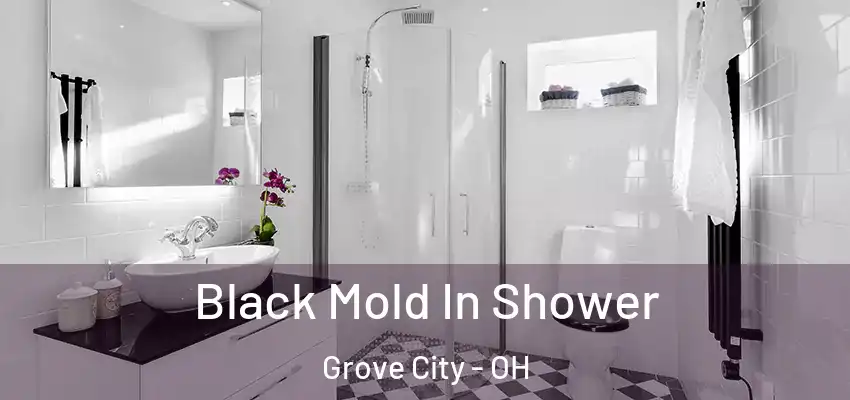  Black Mold In Shower Grove City - OH