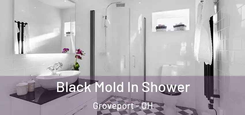  Black Mold In Shower Groveport - OH