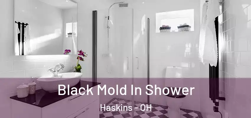  Black Mold In Shower Haskins - OH