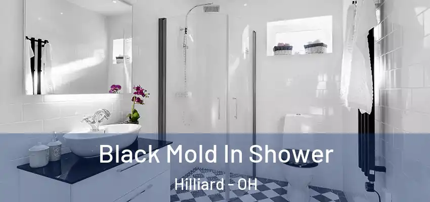  Black Mold In Shower Hilliard - OH