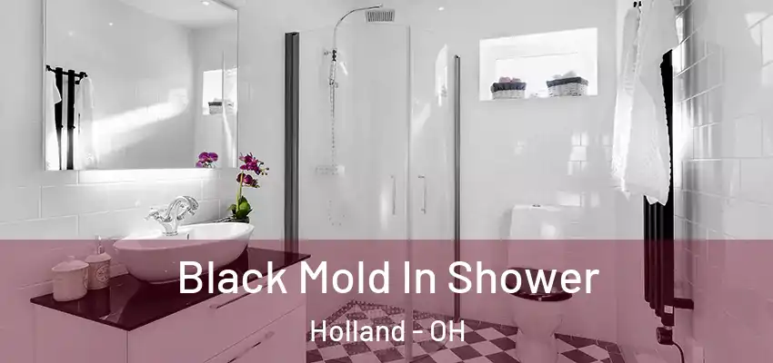  Black Mold In Shower Holland - OH