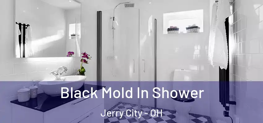  Black Mold In Shower Jerry City - OH