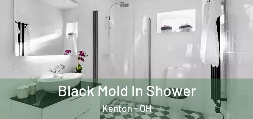 Black Mold In Shower Kenton - OH