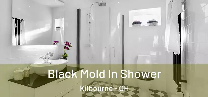  Black Mold In Shower Kilbourne - OH