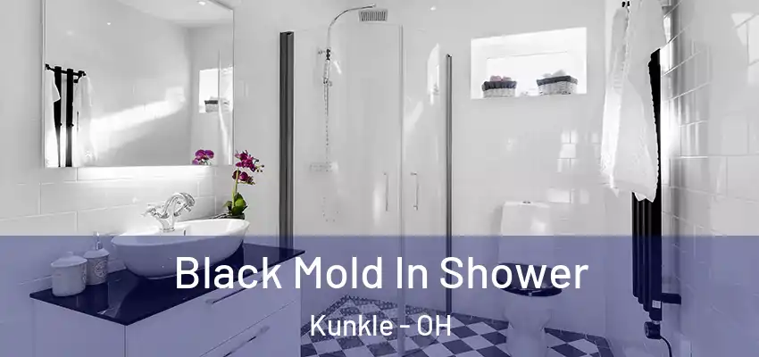  Black Mold In Shower Kunkle - OH