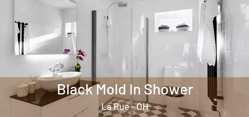  Black Mold In Shower La Rue - OH
