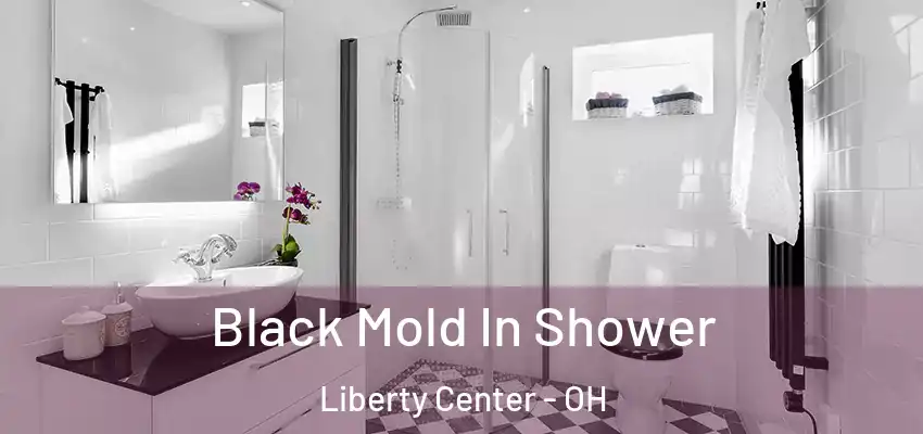  Black Mold In Shower Liberty Center - OH