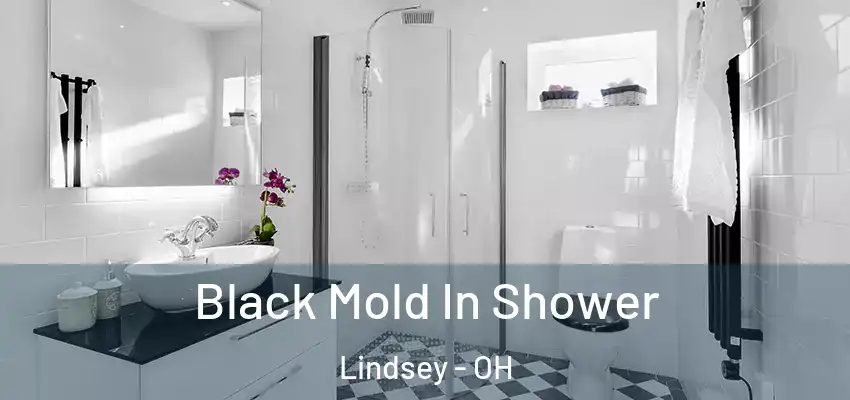  Black Mold In Shower Lindsey - OH