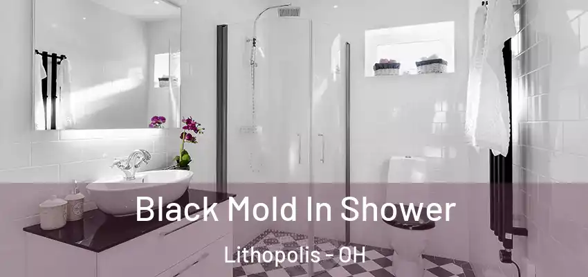  Black Mold In Shower Lithopolis - OH
