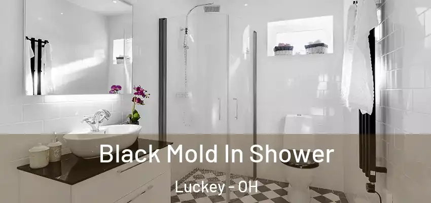  Black Mold In Shower Luckey - OH