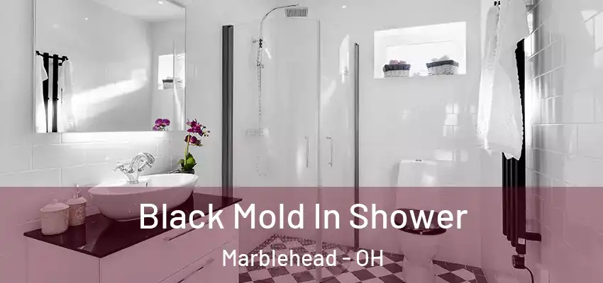  Black Mold In Shower Marblehead - OH