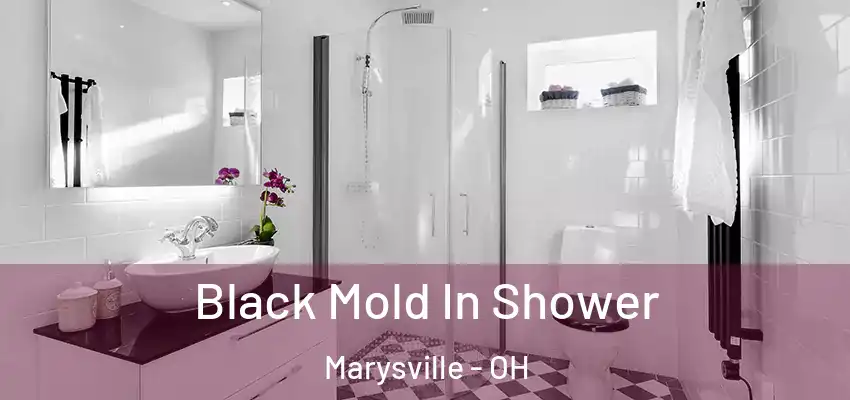  Black Mold In Shower Marysville - OH
