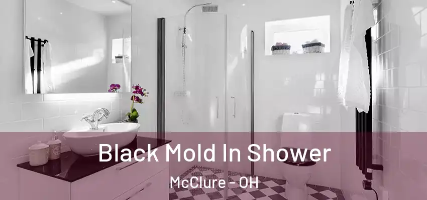  Black Mold In Shower McClure - OH