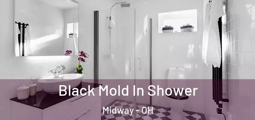  Black Mold In Shower Midway - OH