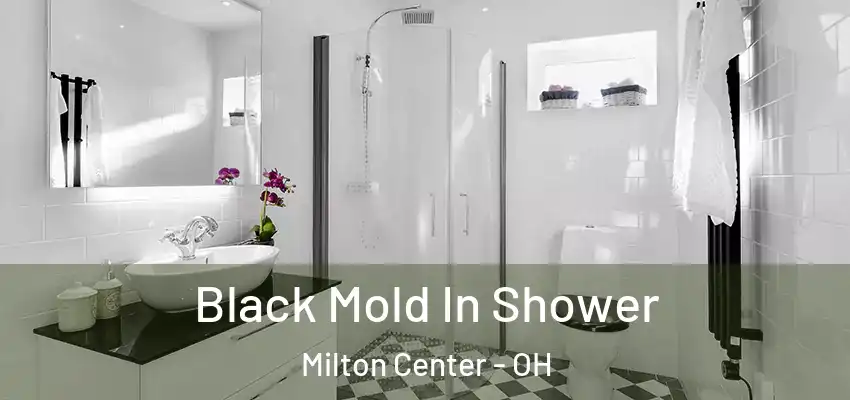 Black Mold In Shower Milton Center - OH