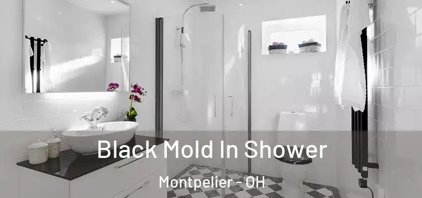 Black Mold In Shower Montpelier - OH