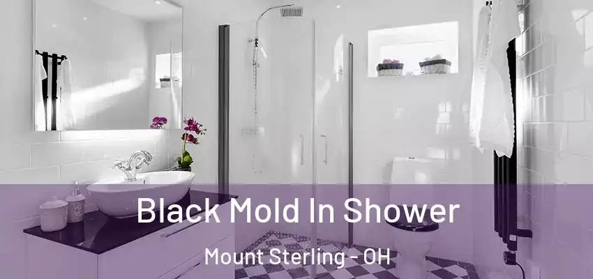  Black Mold In Shower Mount Sterling - OH