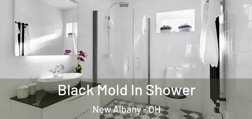 Black Mold In Shower New Albany - OH