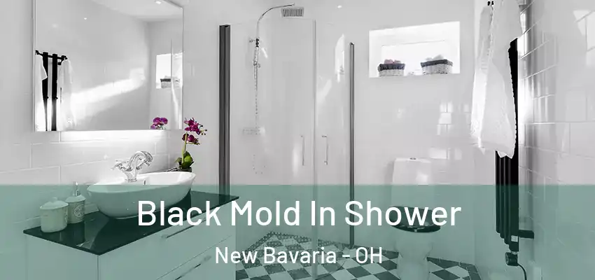  Black Mold In Shower New Bavaria - OH