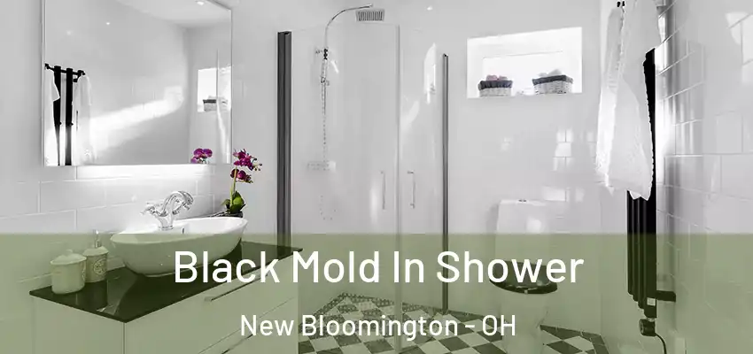 Black Mold In Shower New Bloomington - OH