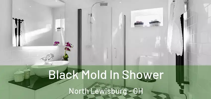  Black Mold In Shower North Lewisburg - OH