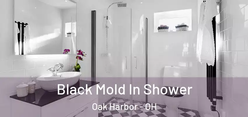  Black Mold In Shower Oak Harbor - OH