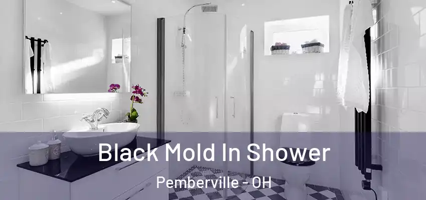  Black Mold In Shower Pemberville - OH