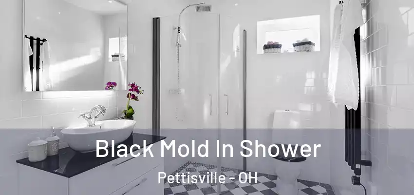  Black Mold In Shower Pettisville - OH